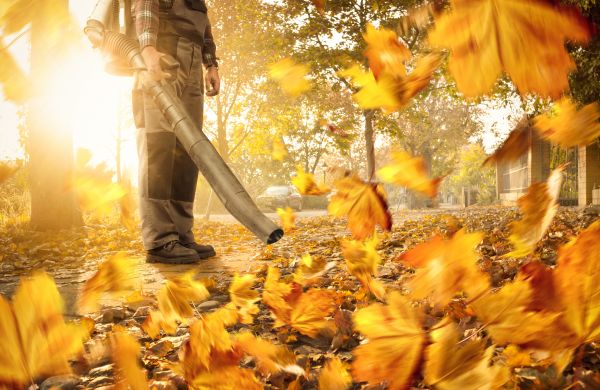Leaf Blowing Service in Oceanside