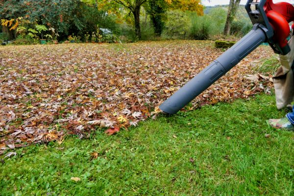 Leaf Vacuuming Service in Oceanside
