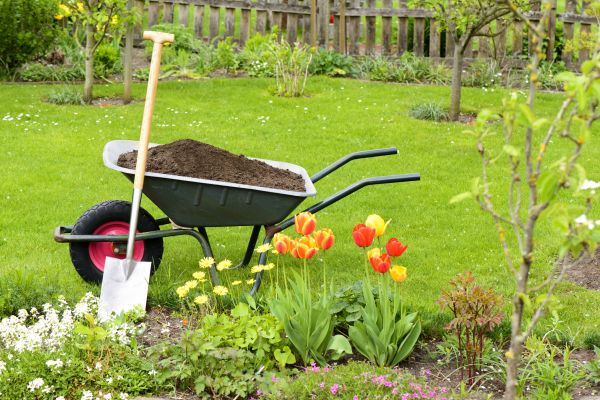 Spring Yard Cleanup in Oceanside