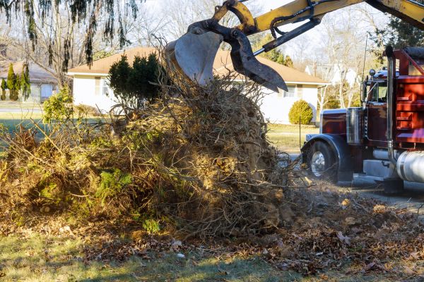 Storm Debris Removal in Oceanside