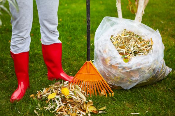 Leaf Disposal Service in Oceanside