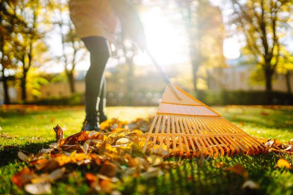 Leaves Raking in Oceanside