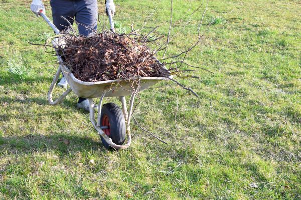 Yard Brush Removal in Oceanside