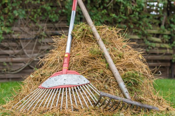Pine Straw Clearing in Oceanside