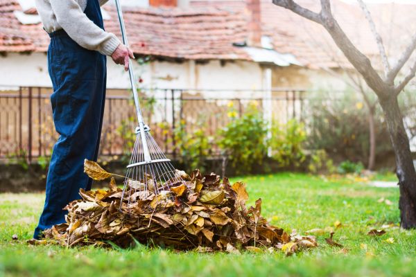 Spring Lawn Cleanup in Oceanside