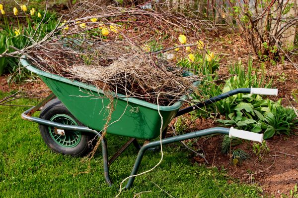 Lawn Waste Removal in Oceanside