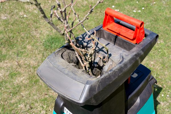 Cost of Brush Cleanup Service in Oceanside