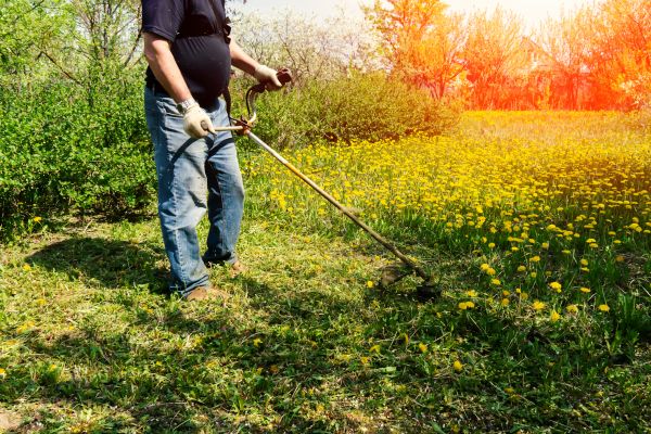 Yard Clearing Service in Oceanside