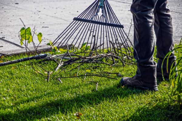 Yard Debris Cleanup in Oceanside