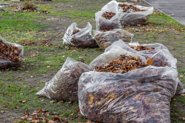 Leaf Pile Disposal in Oceanside