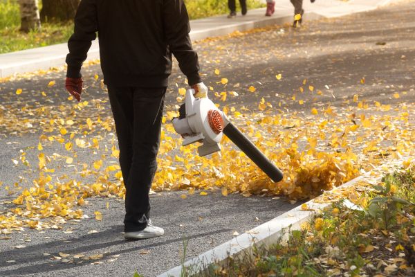 Commercial Leaf Removal in Oceanside