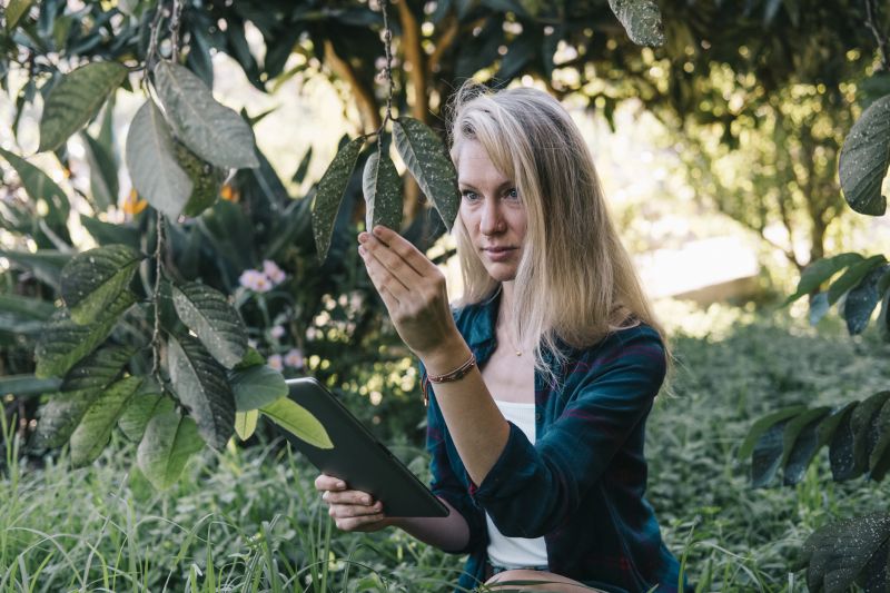 Post-Clean Up Inspection